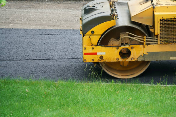Best Concrete Paver Driveway  in Lago Vista, TX