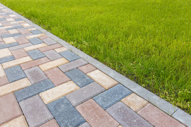 Best Brick Driveway Pavers  in Lago Vista, TX